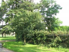 Greenwich Meridian Marker; England; Hertfordshire; Nr Puckeridge